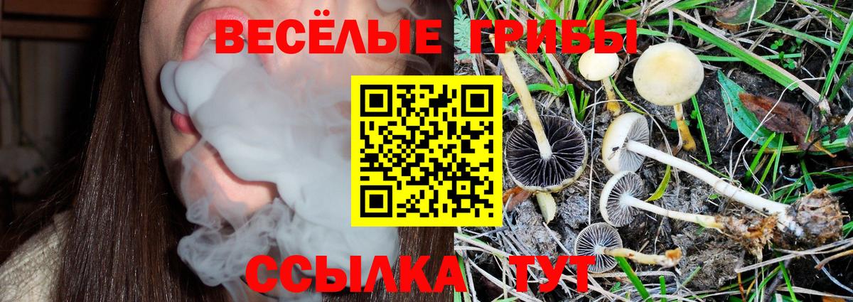 Псилоцибиновые грибы Cubensis Еманжелинск