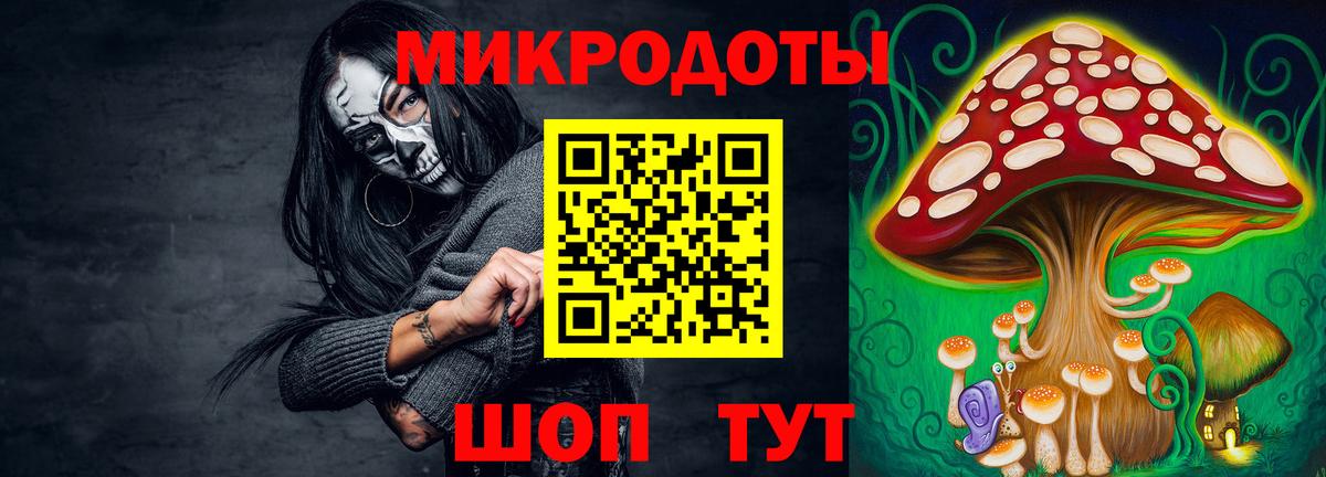 Галлюциногенные грибы Psilocybe  Вход с VPN  Еманжелинск 